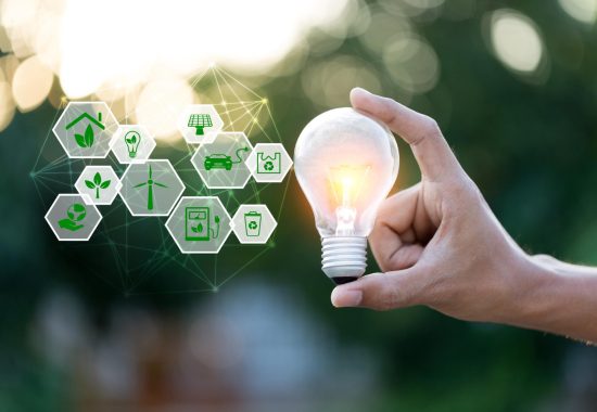 Zrównoważony rozwój